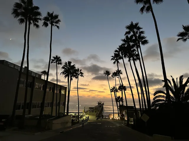 A palm-lined street leading toward the ocean at dusk in La Jolla.