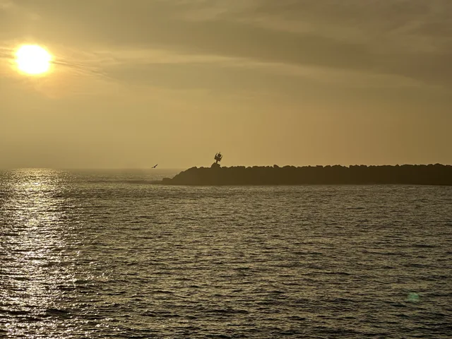 Golden sunlight over the water and a palm-lined point in Oceanside.